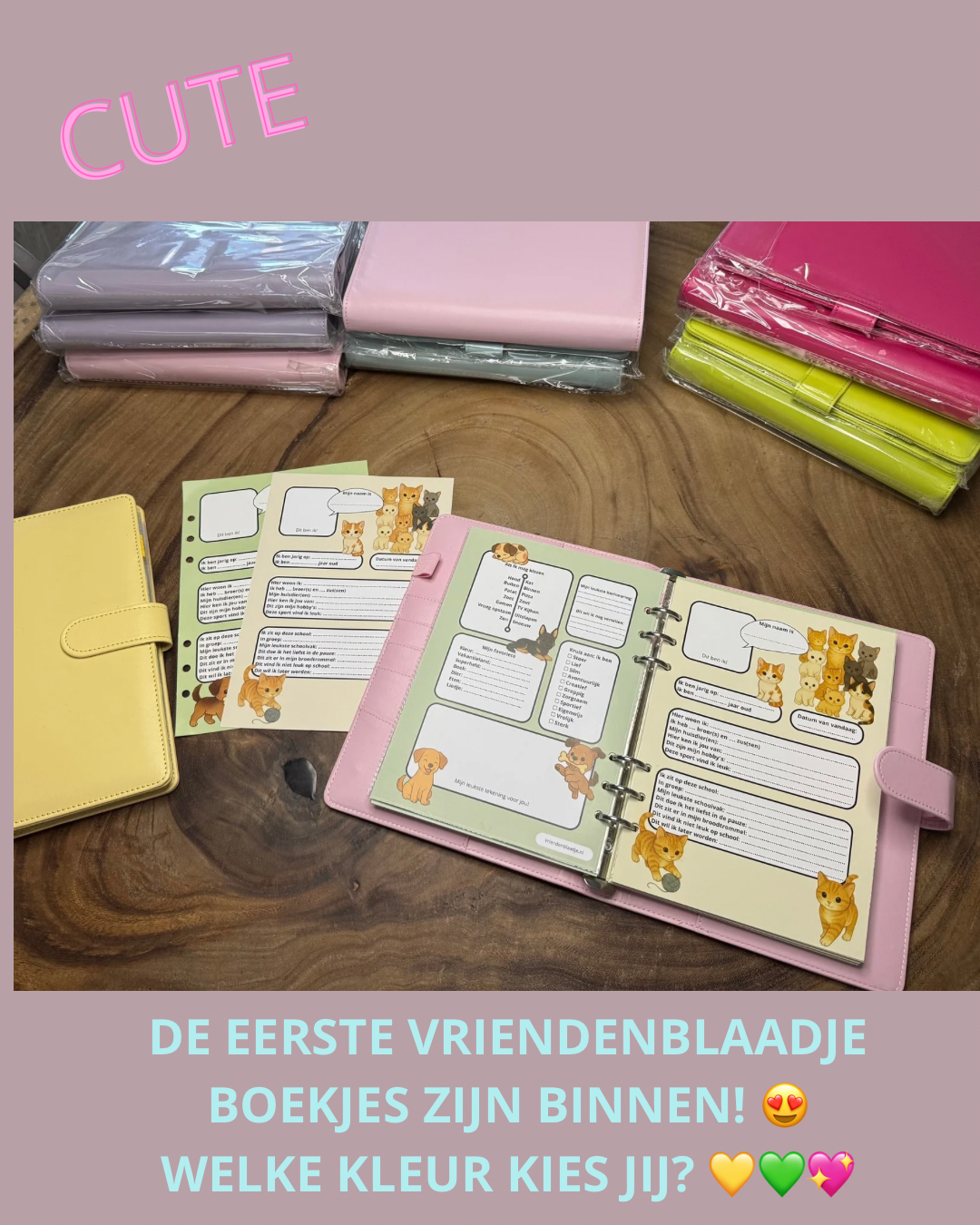 Vriendenblaadje Starterset – Herinneringen voor de hele basisschool